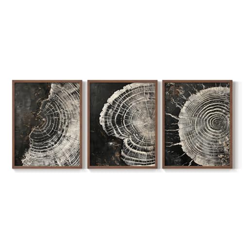Renditions Gallery Set of 3 Peel & Stick Framed Prints, Abstract Wall Art, Blac…