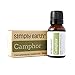 Camphor Essential Oil, 100% Pure Therapeutic Grade - 15 ml by Simply Earth