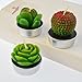 mifengda 12 PCS Cute Succulent Cactus Candles Smokeless Cactus Tealight Candles Delicate Decorative Candles for Valentine's Day Birthday House-Warming Party Wedding Spa Home Decoration Gifts