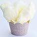 Cupcake Wrappers - Burlap Damask Wedding, Rustic Lace Bridal & Boho Baby Shower, Country Girl Princess Birthday Party Decorations, Reversible Neutral Gender Dessert Wraps (Beige, Yellow, 24 Count)