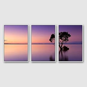 Framed Canvas Wall Art for Living Room, Bedroom Beautiful Nature Norway Landscape Canvas Prints for Modern Home Decoration Ready to Hang - 16"x24"x3 Panels