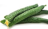 Cucumber Seeds for Planting Vegetable and