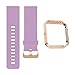 for Blaze Bands, Silicone Replacement Strap with Stainless Steel Frame for Blaze