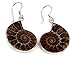 Natural Ammonite Fossil with S925 Sterling Silver Hook Charm Earrings