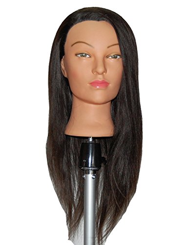 Cosmetology Mannequin Heads Review And Buyer S Guide Beauty Pros