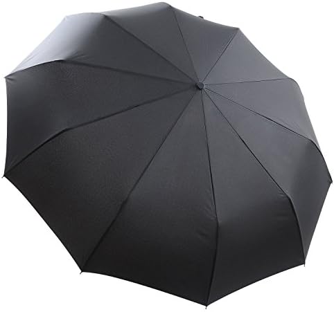 Padwa Lifestyle Travel Automatic Umbrella Auto Open / Close 10 Rib Waterproof and 60MPH Windproof for Men Women