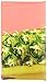 Pure Organic Pineapple Passionfruit Layered Fruit Bar, Certified Organic, Gluten-Free, Non-GMO, Vegan, Kosher, Peanut Free, No Artificial Ingredients, Fruit Snack, 0.63 ounce (Pack of 20)