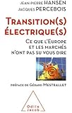 Transitions électriques: Ce que l'Europe et les marchés n'ont pas su nous dire
