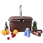 Insulated Picnic Basket Cooler Bag 22L for Camping BBQ Outdoor Sports