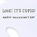 Hallmark 0349VFE6865 Shoebox Valentine's Day Greeting Card (Cupid Pig)