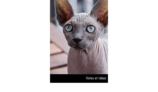 Amazon Com Notes Et Idees Carnet De Notes Journal Intime Chat Nu Format A5 Ligne Durable Et Neutre Pour Le Climat French Edition Loisir Hugo Books