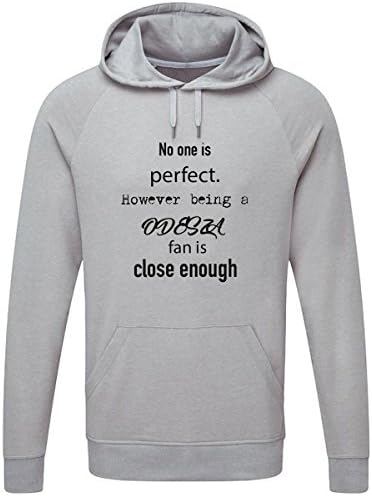No One is Perfect. However Being a Odesza Fan Close Enough Lightweight Hooded Sweatshirt (Light Grey)