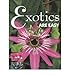 Exotics are Easy (Paperback) - Common by