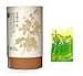 Korean Roasted Cassia Tora Seeds Tea (Gyeolmyeongja Cha) - 100g (loose tea)