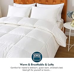 Oaken-Cat Feathers Down Comforter Twin