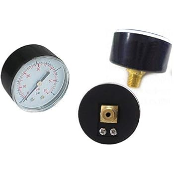 Amazon.com : Pressure Gauge 0-60 PSI for Pentair and