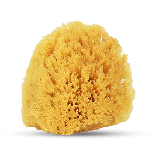 Baby Buddy Natural Baby Bath Sponge 4" Soft Yellow Sea Sponge Soft on Baby's Tender Skin, Biodegradable, Hypoallergenic, Absorbent Natural Sea Sponge, 1 Pack