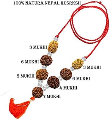 SHIV SHANKAR ACCESSORIES Rudraksh Rudraksha Crystal 3 4 5 6 7 Mukhi(Face) Beads Mala Wrist Necklace Women and Men