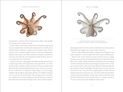 Secrets of the Octopus