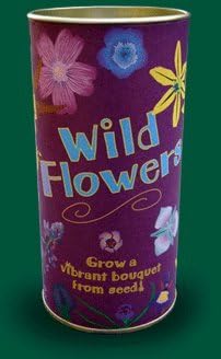 Wildflower Seed Kit - Enough Wild Flower Seed to Cover 300 Sq. Ft - China Aster, Daisy, Marigold, Zinnia Wildflowers &amp; More
