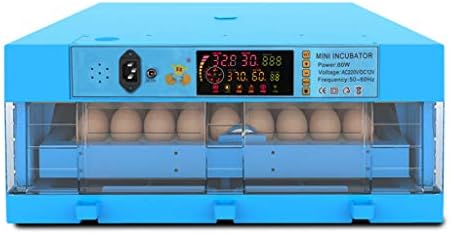 ALYR Fully Automatic Incubators for Hatching Eggs, Dual power Hatcher Automatic Egg Turning Temperature Control for Chicken Dove Quail,64 Egg_53*53 * 28CM
