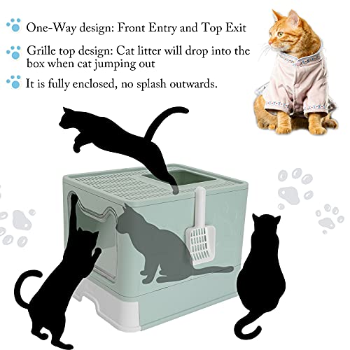 ROCCS Foldable Cat Litter Box with Lid,No Smell Large Top Entry