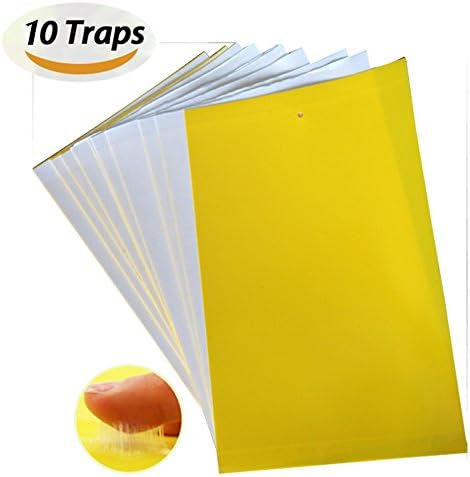 JTHM High Effect Dual-sided Yellow Sticky Fly Traps Whitefly, for Leaf Miner, Aphids, Fungus, Gnats, Mosquitoes &amp; Other Flying Insects ( 10pcs)