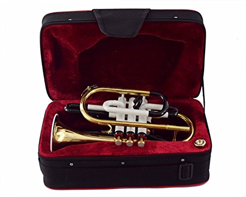 WHITE COLOR ECHO CORNET Bb PITCH FOR SALE WITH FREE HARD CASE AND MOUTHPIECE