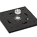 Westinghouse Solar 20 Lumens 4x4 Post Light for Wood Posts (Black, 2 Pack
