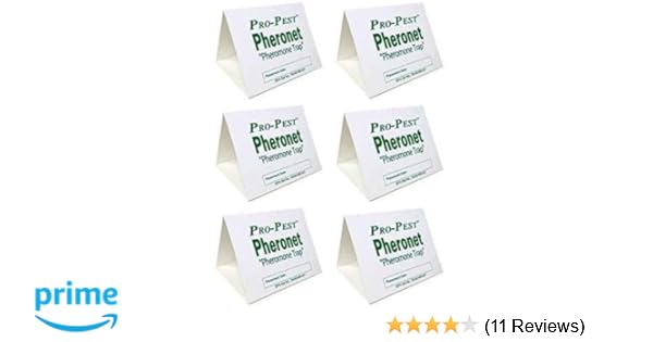 Amazon Com 6 Indian Meal Moth Traps Pantry Moth Traps Bird Seed