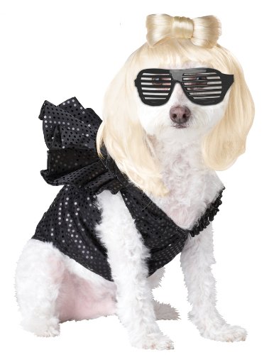 Pup-A-Razzi Pop Sensation Dog Costume, Black
