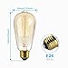 SHINE HAI Vintage Edison Bulb 60W, Antique Style ST64 Squirrel Cage Filament, 300 Lumens, Dimmable Classic Design, E26 Medium Base 2300K, Pack of 6