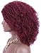 Kalyss Burgundy red Short Afro Kinky Curly Wigs for Women Side Curved Part Natural Looking Big,Bouncy and Super Soft Premium Synthetic Afro Curls Wigs for Women