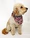 Patriotic Bandana for Dogs (L) Ties on 14