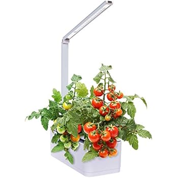 Hydroponic Indoor Herb Garden Kit - Multispectrum LED Desktop Growing Lamp Mindful Design