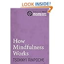 How Mindfulness Works