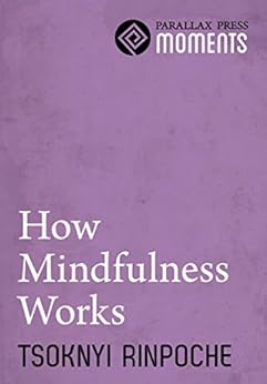 How Mindfulness Works by [Rinpoche, Tsoknyi]