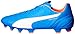 PUMA Men's Evospeed 3.4LTHFG Soccer Shoe
