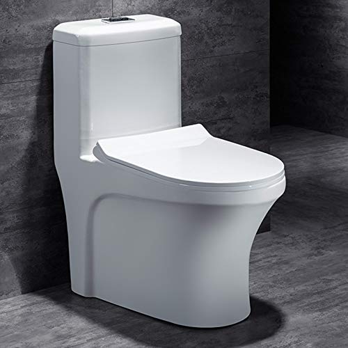 B Backline One Piece Ceramic Floor Mounted Commode/Water Closet/WC