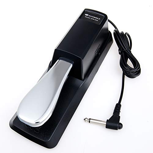 Sustain Pedal Piano Style for Williams Allegro/Legato/Encore/Etude Mk2 Keyboard Footswitch, Damper Pedal - Thumbnail 2