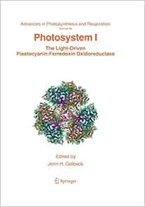 Photosystem I The Light Driven Plastocyanin Ferredoxin