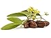 Molivera Organics Jojoba Oil Premium Jojoba Oil 4 Fl Oz. 100% Pure Organic Cold Pressed Unrefined Best for Hair, Skin, Face & Nails