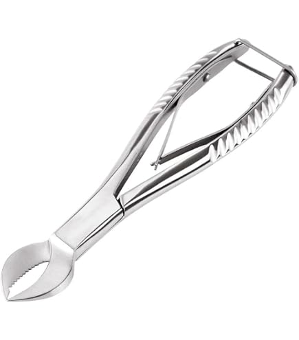 TAMSCO Cutter 4.5-Inch Heavy Duty For Hard Coral Stainless Steel Box...