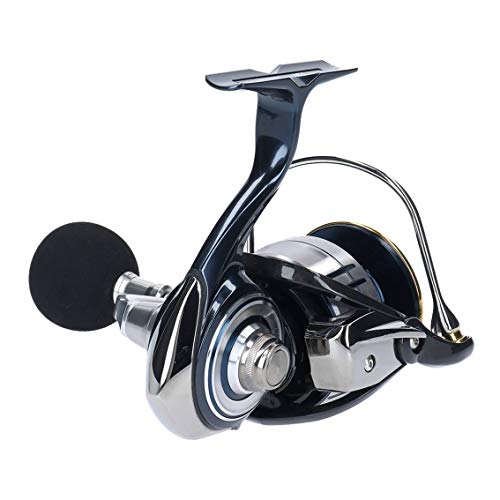 Daiwa 19 CERTATE LT5000D-CXH Spinning Reel New in Box | eBay