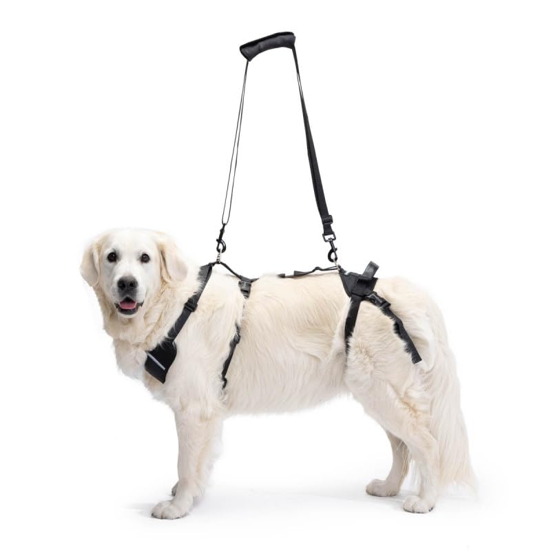 Ortocanis - Full-Body Dog Harness for Fore and Hind Support, Size XL