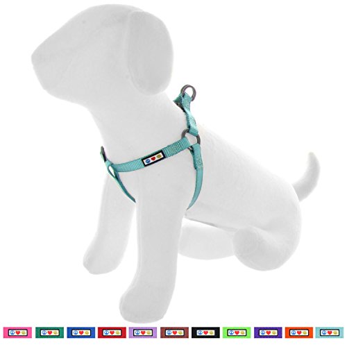 Pawtitas Pet Adjustable Solid Color Step In Puppy / Dog Harness 3/8 Inch Extra Small Teal