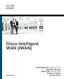 Image de Cisco Intelligent WAN (IWAN) (Networking Technology)