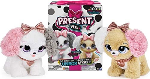 Present Pets, Fancy Puppy Interactive 