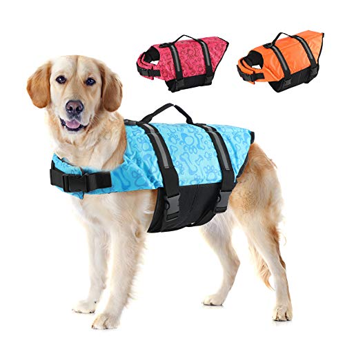 dog swim vest