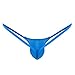 ACSUSS Men's Grape Smugglers Micro Pouch Thongs V-String Bikini Briefs Underwear Blue Medium(Waist 33.0-55.0